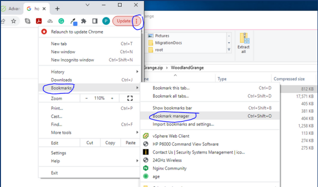 Exporting Bookmarks from Chrome — screenshot 1